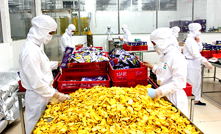 san-xuat-may-che-bien-thuc-pham-do-uong-va-thuoc-la