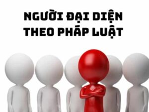 thay-doi-nguoi-dai-dien